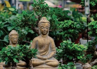 sculpture-amenities-71-midtown-paradigm-realty-chembur-east-mumbai-maharashtra-set-3