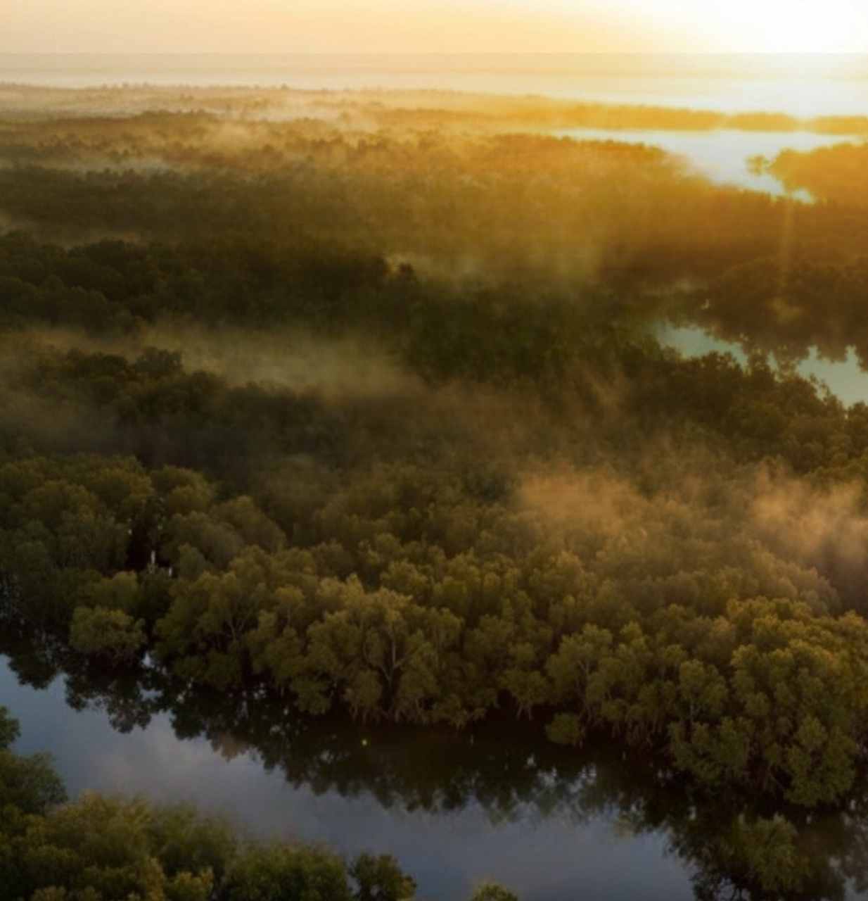 mangrove-views-ajmera-vann-versova-andheri-west-mumbai-maharashtra-set-3