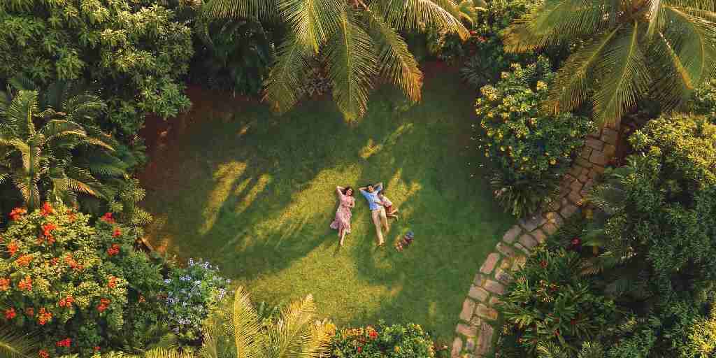 7-acres-landscapes-green-spaces-amenities-mahindra-rainforest-kanjurmarg-west-mumbai-maharashtra-set-3