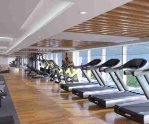 gym-amenities-l-and-t-elixir-reserve-l-and-t-realty-powai-west-mumbai-maharashtra-set-2