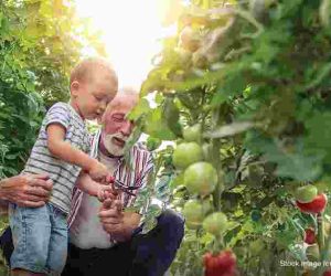 organic-farming-amenities-godrej-vistas-godrej-properties-vikhroli-mumbai-maharashtra-set-1