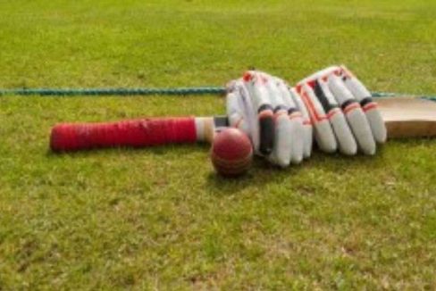 cricket-pitch-aricia-vikas-ornate-vikas-constructions-rajawadi-ghatkopar-east-mumbai-maharashtra-set-3