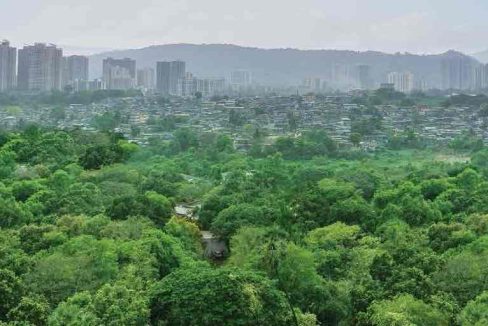 green-view-lodha-crown-kolshet-lodha-group-kolshet-road-thane-west-thane-maharashtra-set-3