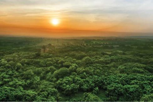 mangroves-views-godrej-vistas-godrej-properties-vikhroli-mumbai-maharashtra-set-3