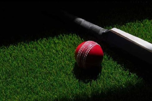 cricket-turf-amenities-trishika-skye-175-vikhroli-east-mumbai-maharashtra-set-3