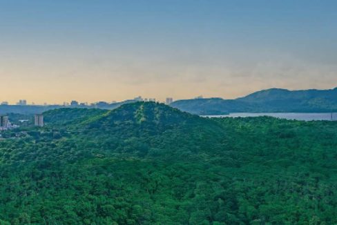 green-view-runwal-codename-forevergreen-kanjurmarg-east-mumbai-maharashtra-set-3