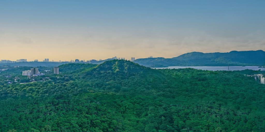 green-view-runwal-codename-forevergreen-kanjurmarg-east-mumbai-maharashtra-set-3