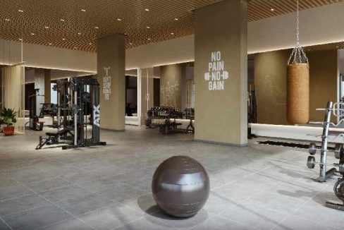 gymnasium-amenities-mahindra-rainforest-kanjurmarg-west-mumbai-maharashtra-set-3